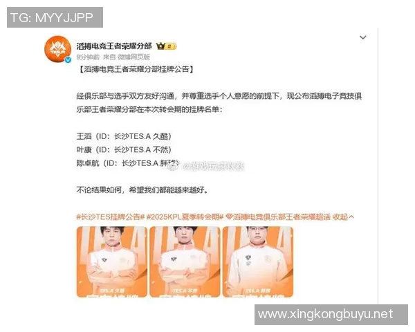 王者荣耀聚焦TES战队技术分析与战术探讨全方位解读